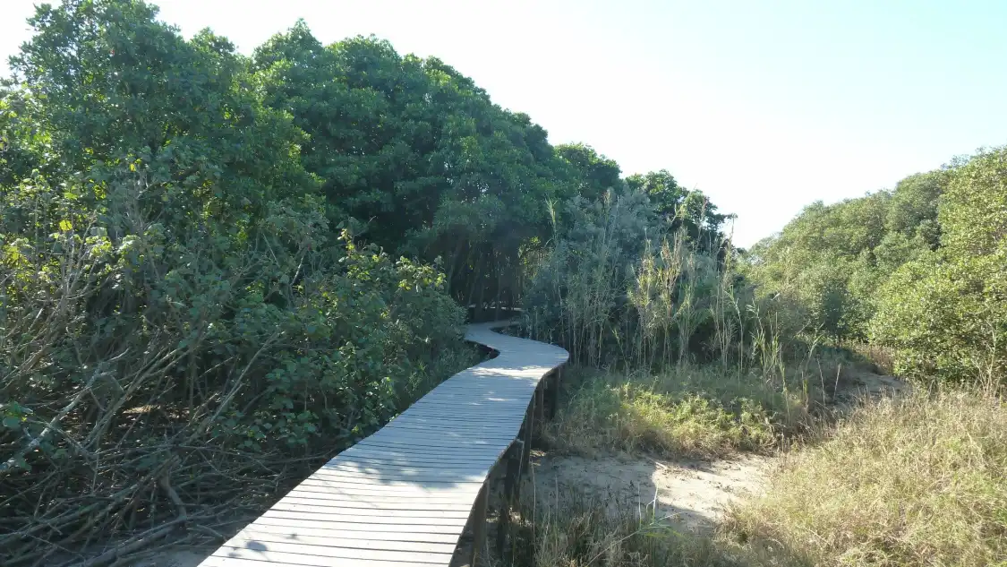 Hotels near Beachwood Mangroves Nature Reserve