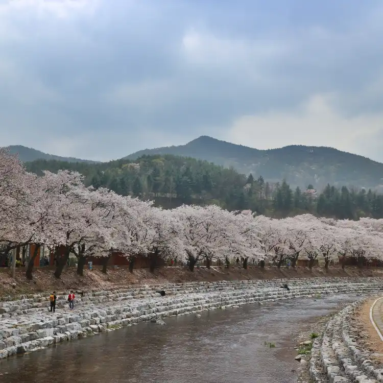 Hotels near Suanbo Cherry Blossom Road