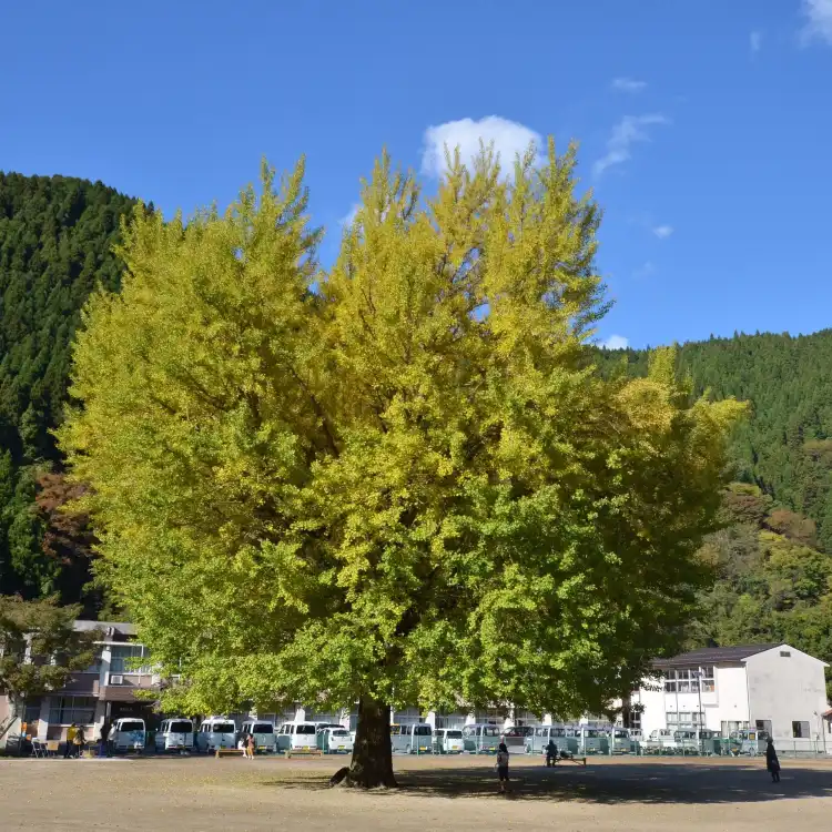 Hotels in Nichinan