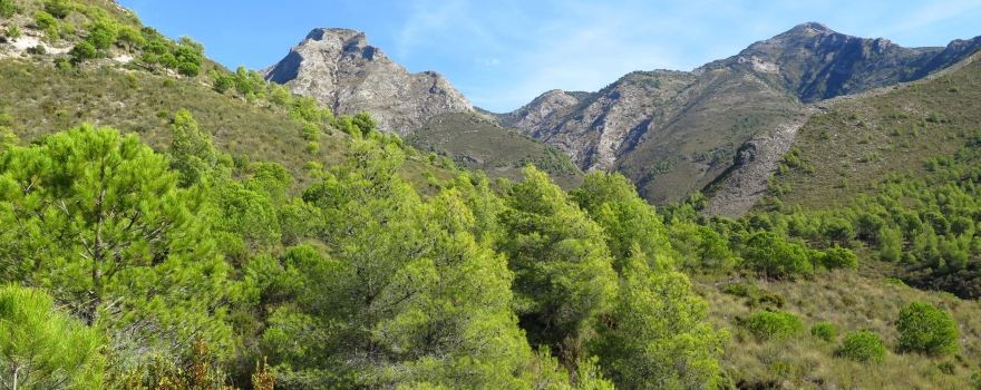 Fuente del Esparto