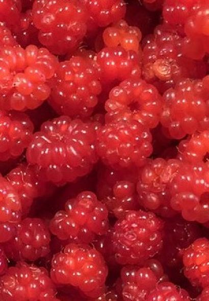 Steakhouse88 Churaumi