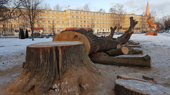 The Moose of Jelgava