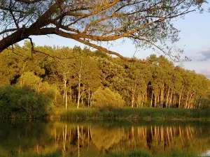 리버 벤드 공원