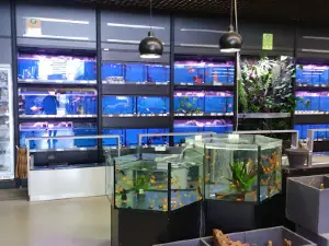 Magasin Vert DINAN / TADEN
