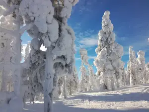 Suomutunturi