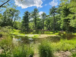 Beech Creek Botanical Garden & Nature Preserve