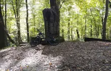 Мацестинский Лесопарк