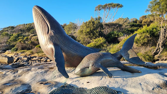Adams Point Whale Lookout