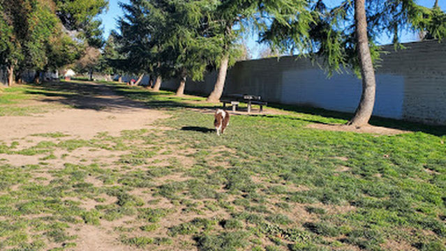 Glenbrook Large Dog Park