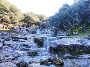 Las Chorreras