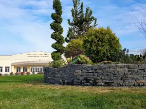 Sala de congrese a Martorii lui Iehova, Negrești-Oaș