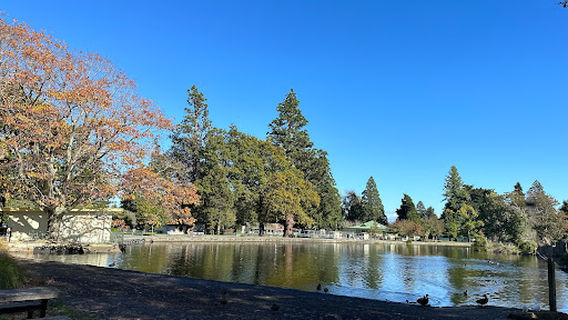 Queen Elizabeth Park