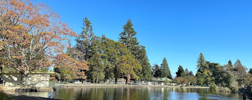 Queen Elizabeth Park