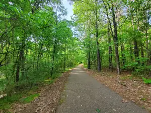 North Park