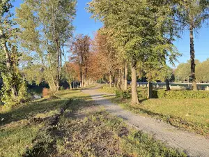Stadion "Lokomotyv"