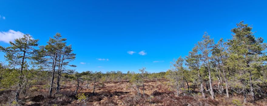 Risön Florarna