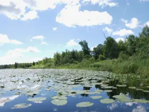Little Elbow Lake Tribal Park/Campground