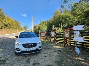 Peștera Topolnița