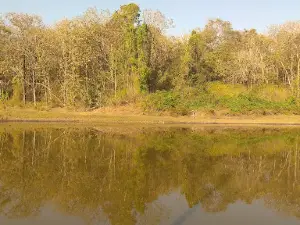 Phansoli Elephant Camp - Kali Tiger Reserve