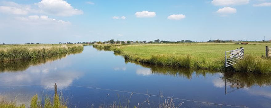 De Woudhaven