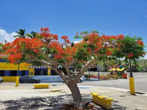 Malecón de Guánica