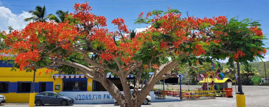 Malecón de Guánica
