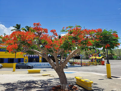 Malecón de Guánica