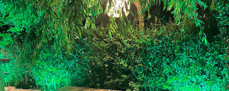 Rouri’s Garden