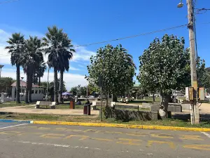 Feria Artesanal