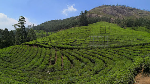 Munnar