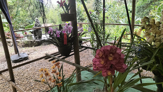 Orquídeas Del Tequendama