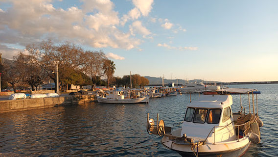 Navarino street playground