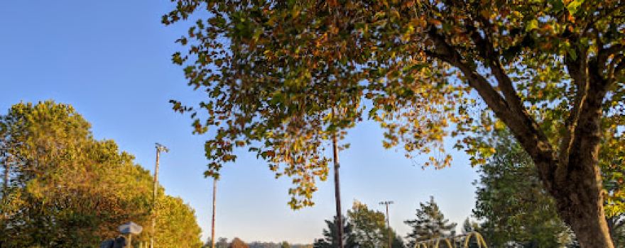 Newburg Park
