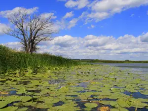 Mezynsʹka Shveytsariya