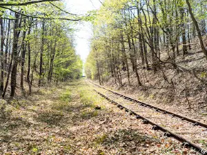 AFTC Cyclorail 37 - Chateau la Vallière Indre & Loire
