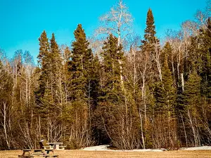 Hazelwood Lake Conservation Area