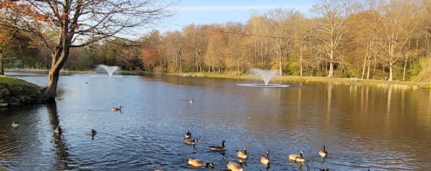 Fulton Park