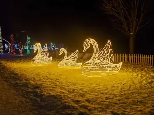 SAM’S CHRISTMAS VILLAGE & LIGHT TOUR