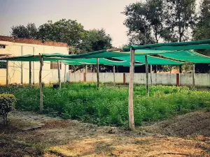 Vasundhara Organics