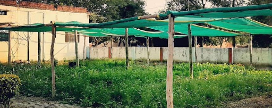 Vasundhara Organics
