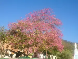 Parque La Misericordia