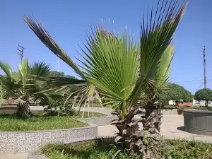 Aguadita Park