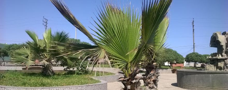 Aguadita Park