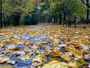 Central Park