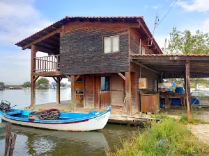 Axios Delta National Park
