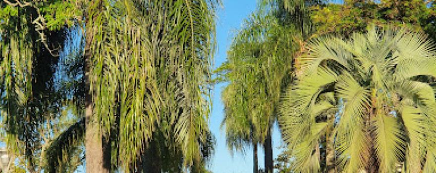 Plaza San Martin