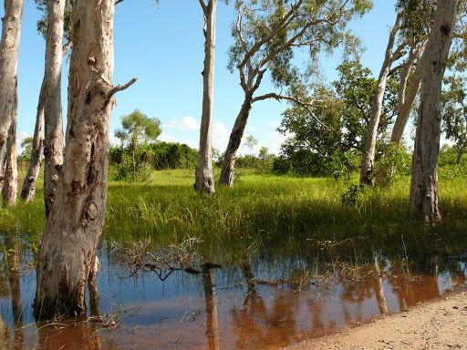 Crocodile Creek (Lombuy)