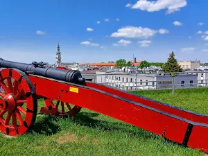 Nadszaniec