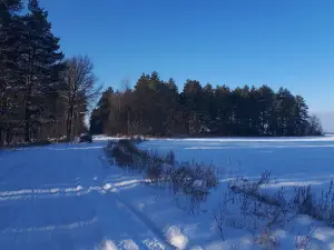 Купель Святой источник