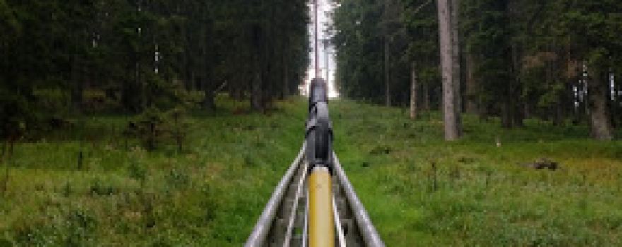 Tekaški smučarski klub Rogla